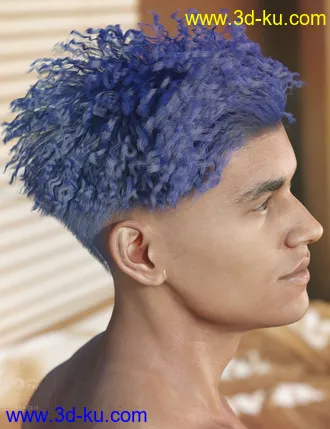 3D打印模型dForce Hayden Hair for Genesis 8的图片
