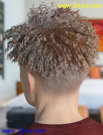 3D打印模型dForce Hayden Hair for Genesis 8的图片