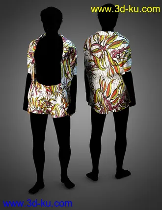 3D打印模型dForce LavieByCk Summer Essentials Swimsuits for Genesis 8的图片