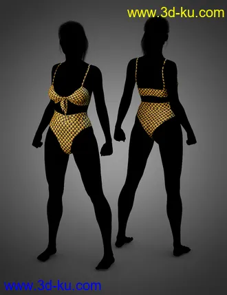 3D打印模型dForce LavieByCk Summer Essentials Swimsuits for Genesis 8的图片