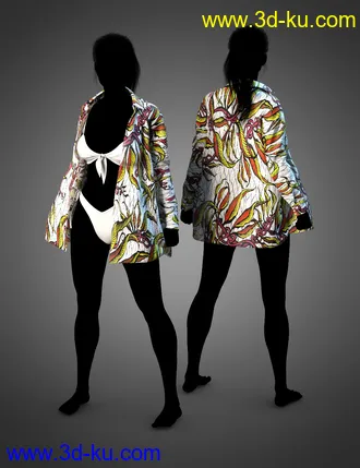 3D打印模型dForce LavieByCk Summer Essentials Swimsuits for Genesis 8的图片