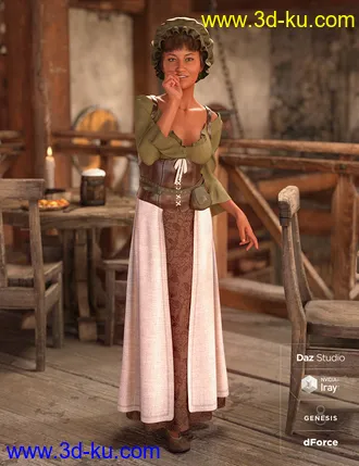 3D打印模型dForce Medieval Barmaid Textures - Weary的图片
