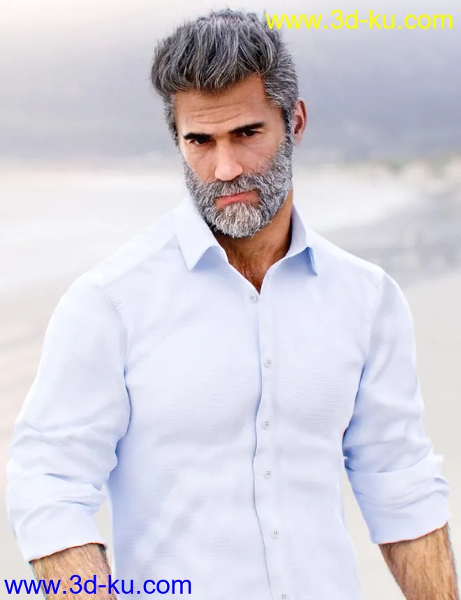 dForce MI Summer Casual Outfit for Genesis 8 and 8.1 Males模型的图片2