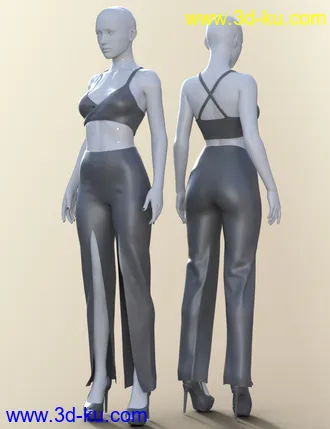 3D打印模型dForce Open Pants Outfit for Genesis 8 Females的图片