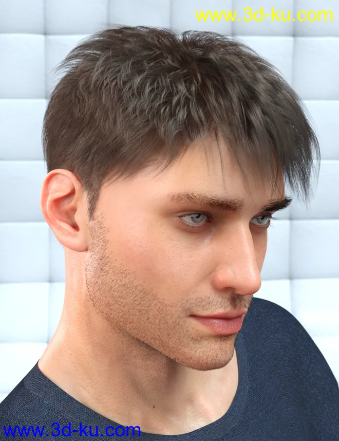 dForce Shy Style Hair for Genesis 8模型的图片4