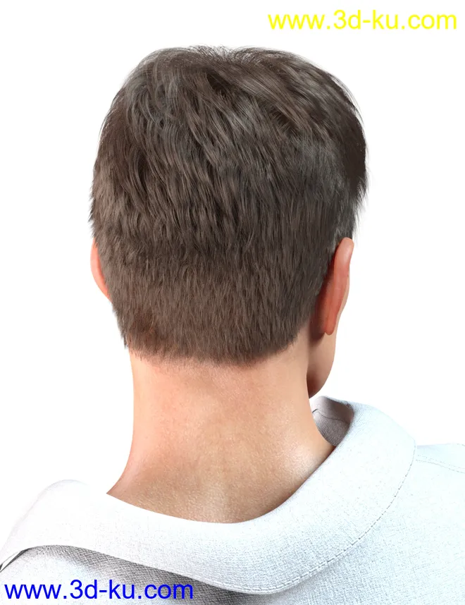 dForce Shy Style Hair for Genesis 8模型的图片12