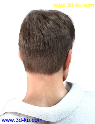 3D打印模型dForce Shy Style Hair for Genesis 8的图片