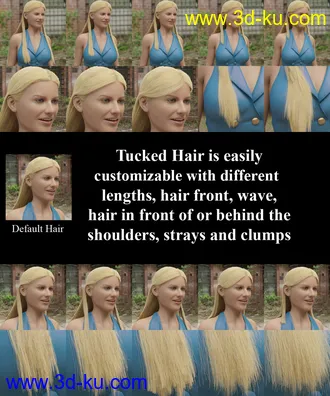 3D打印模型dForce Tucked Long Hair for Genesis 8 Females的图片