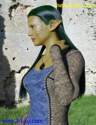 3D打印模型dForce Tucked Long Hair for Genesis 8 Females的图片