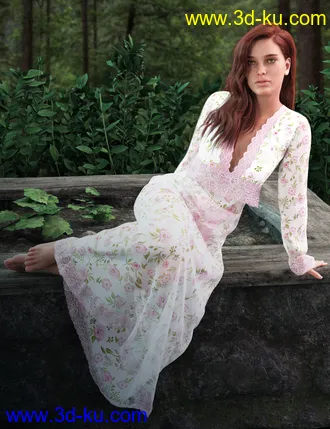 3D打印模型dForce YesterYear Nightgown Outfit for Genesis 8 Females的图片