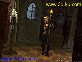 3D打印模型DM's Queen's Chamber的图片