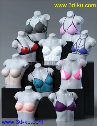 3D打印模型Easy Bras for Genesis 8 and 8.1 Females的图片