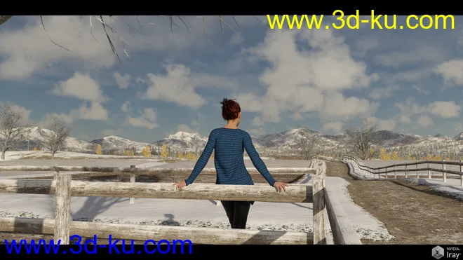 Easy Environments Winter Fields模型的图片5