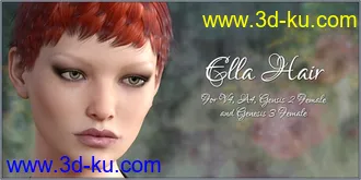 3D打印模型Ella Hair的图片