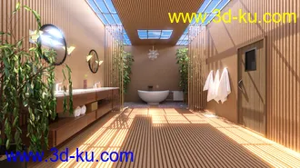 3D打印模型Fancy Japanese Bath的图片