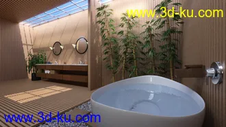 3D打印模型Fancy Japanese Bath的图片