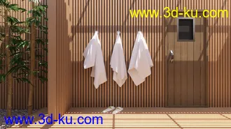 3D打印模型Fancy Japanese Bath的图片