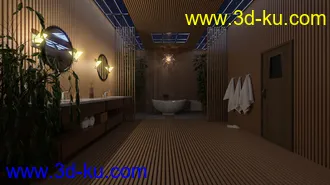 3D打印模型Fancy Japanese Bath的图片