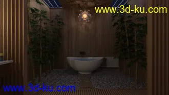 3D打印模型Fancy Japanese Bath的图片