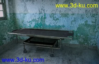 3D打印模型FG Abandoned Mental Hospital的图片
