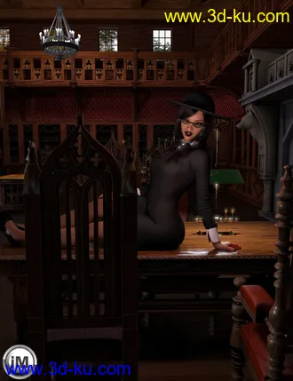 3D打印模型FG Gothic Library Poses的图片