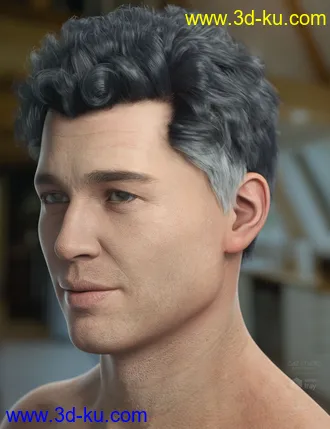 3D打印模型Frankie Hair for Genesis 8的图片