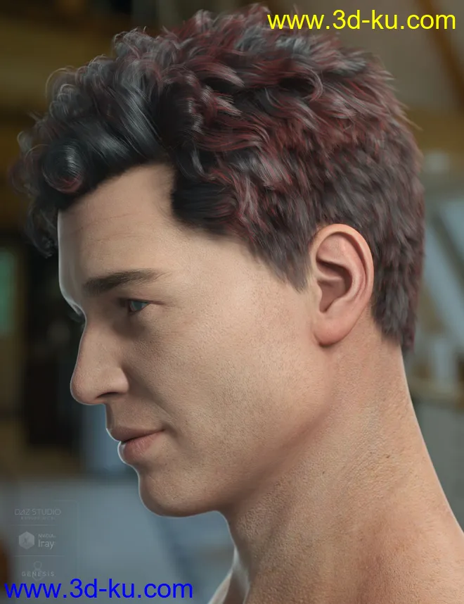 Frankie Hair for Genesis 8模型的图片5