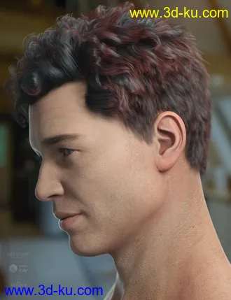 3D打印模型Frankie Hair for Genesis 8的图片
