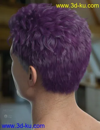 3D打印模型Frankie Hair for Genesis 8的图片