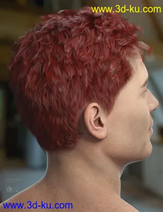 3D打印模型Frankie Hair for Genesis 8的图片