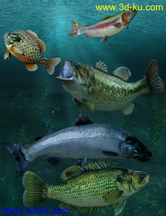 Freshwater Game Fish模型的图片1