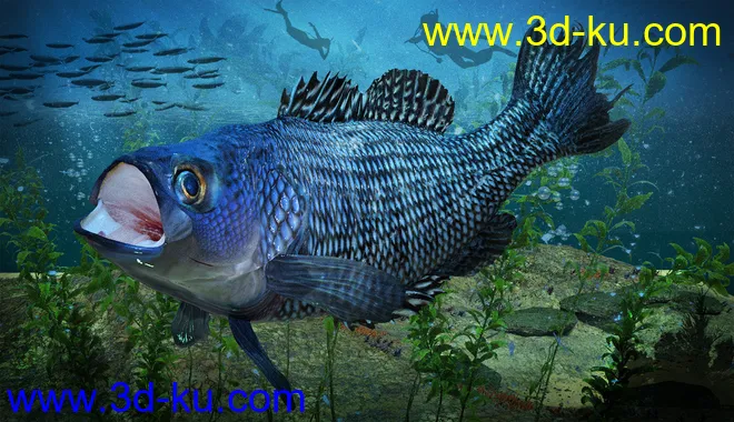 Freshwater Game Fish模型的图片2