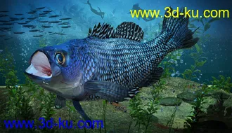 3D打印模型Freshwater Game Fish的图片