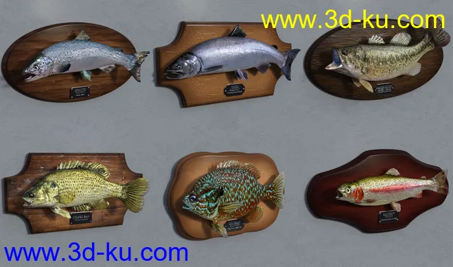 Freshwater Game Fish模型的图片4