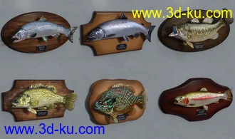 3D打印模型Freshwater Game Fish的图片