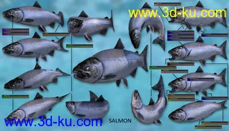 3D打印模型Freshwater Game Fish的图片