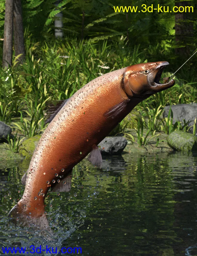 Freshwater Game Fish模型的图片10