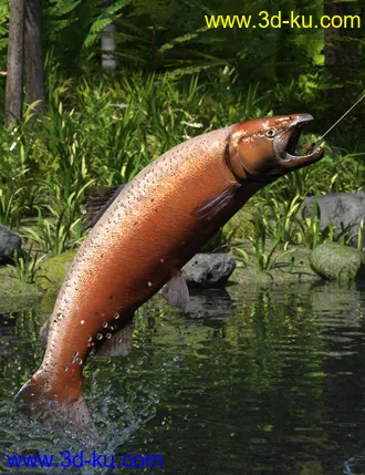 3D打印模型Freshwater Game Fish的图片