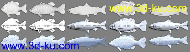 Freshwater Game Fish模型的图片15