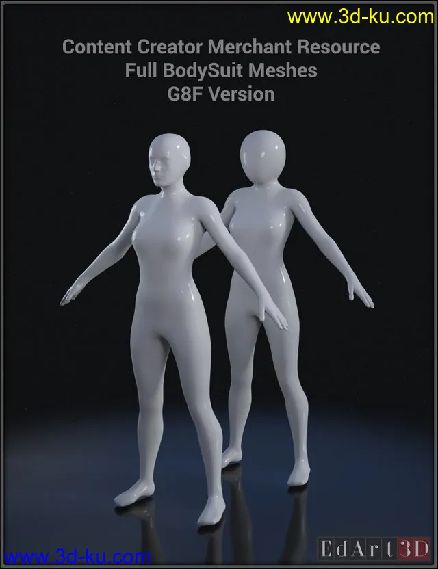 Full Body Suit Meshes for G8F - Content Creator MR模型的图片1