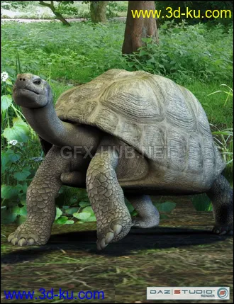 3D打印模型Galapagos Tortoise的图片