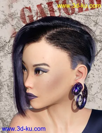 3D打印模型Gauged Ears and Jewelry for Genesis 8.1 Female的图片