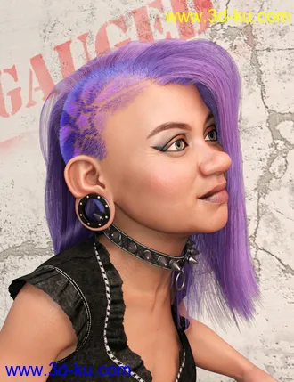 3D打印模型Gauged Ears and Jewelry for Genesis 8.1 Female的图片