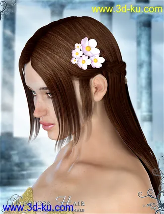 3D打印模型Goddess Hair的图片