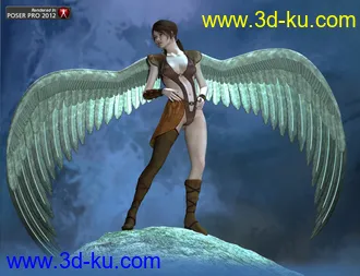 3D打印模型Griffin Wings的图片