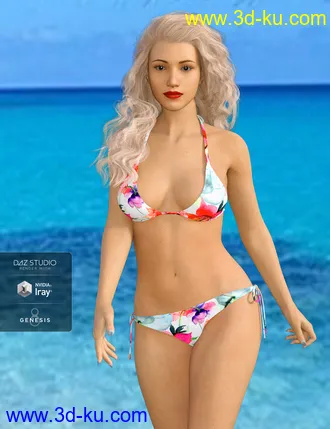 3D打印模型H&C Bikini Swimsuit B for Genesis 8 Female(s)的图片