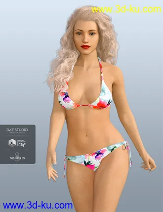 3D打印模型H&C Bikini Swimsuit B for Genesis 8 Female(s)的图片