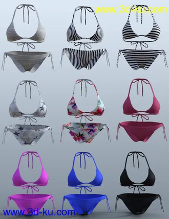 3D打印模型H&C Bikini Swimsuit B for Genesis 8 Female(s)的图片