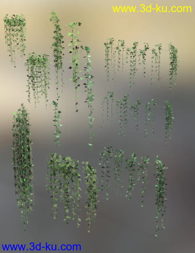 Hanging Vines - Ivy Plants模型的图片5