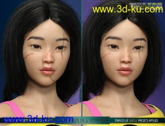 3D打印模型HD Face Staples and Stitches for Genesis 8 Females的图片